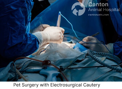 Discover the benefits of electrosurgical cautery in pet surgery. Learn how it improves precision, reduces bleeding, and enhances healing at Canton Animal Hospital."