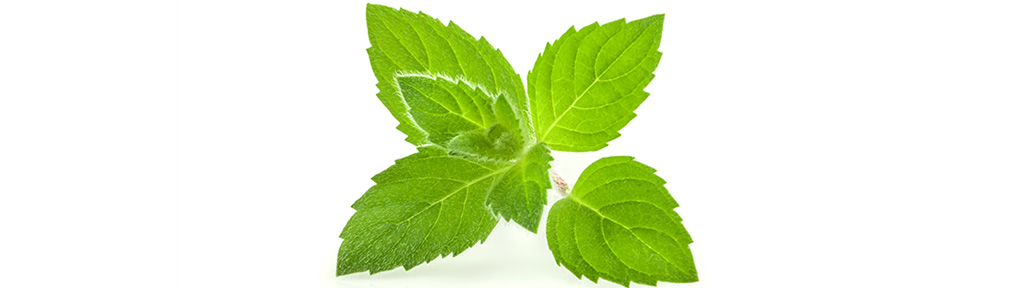 Listerine Essential Oil, Ingredient Banner: Menthol