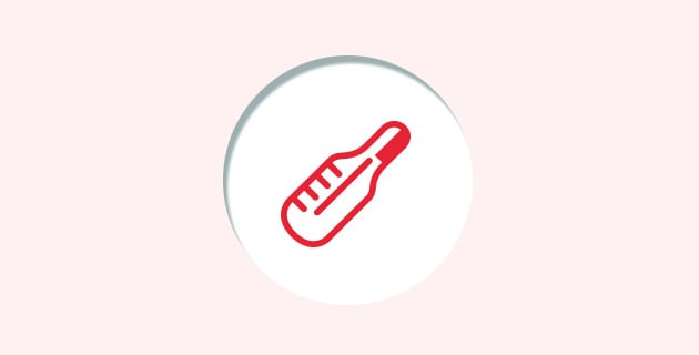 Thermometer icon