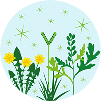 Plantes d'extérieur produisant des pollens