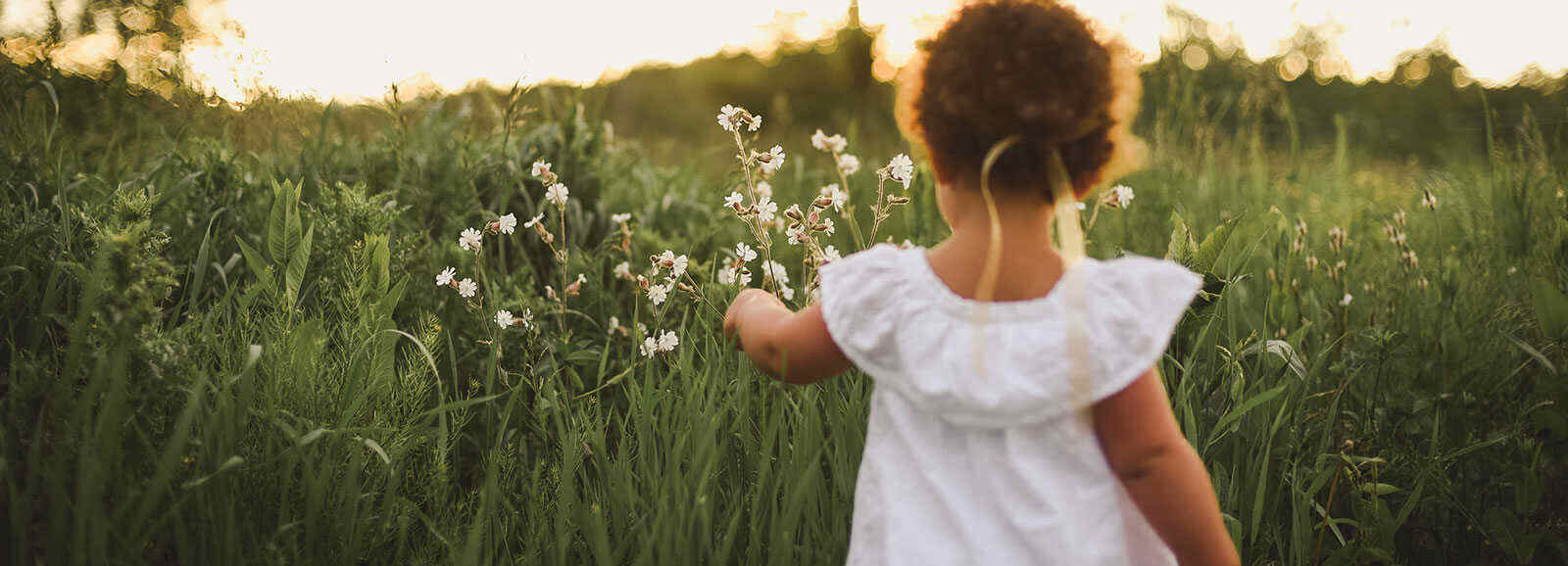 petite fille en robe blanche, qui regarde des fleurs des champs