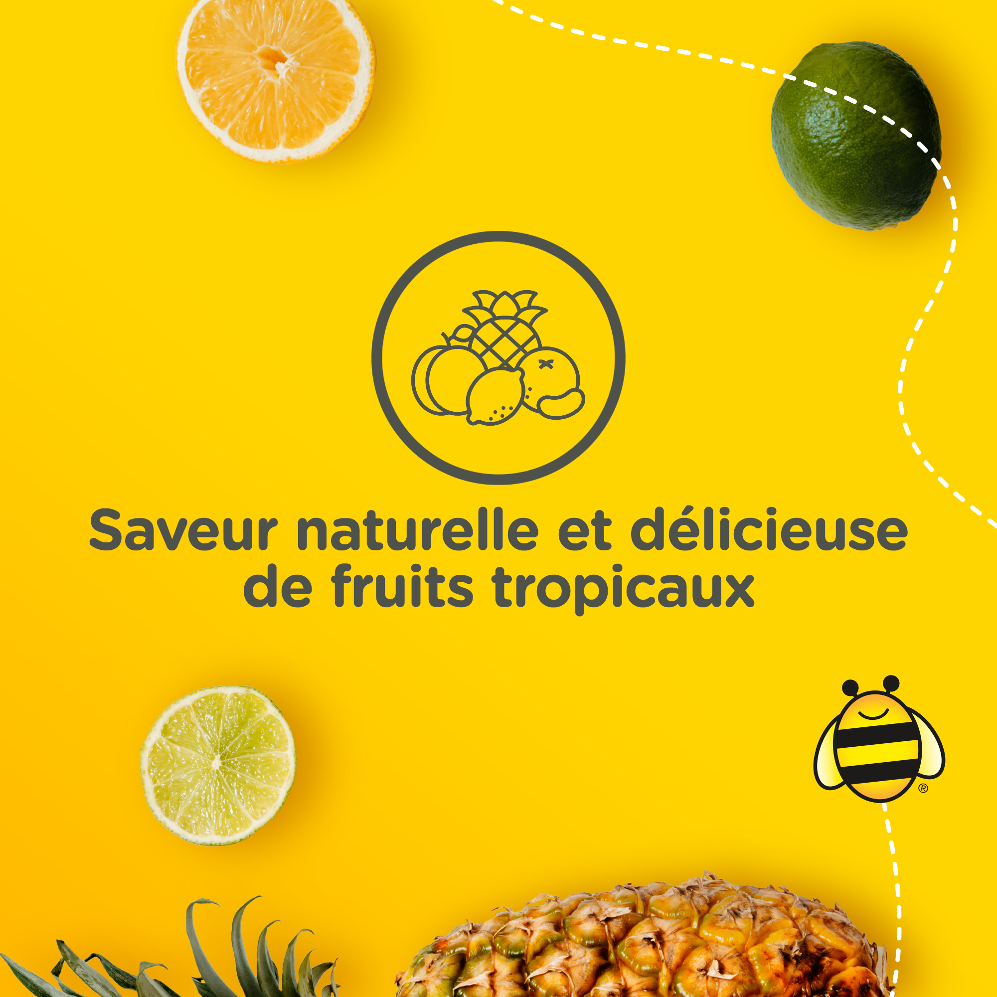 Tranches d’orange, de lime et d’ananas, avec le texte « Arôme de fruits tropicaux naturellement délicieux ».