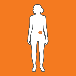 Female body icon with a point at the lower abdomen