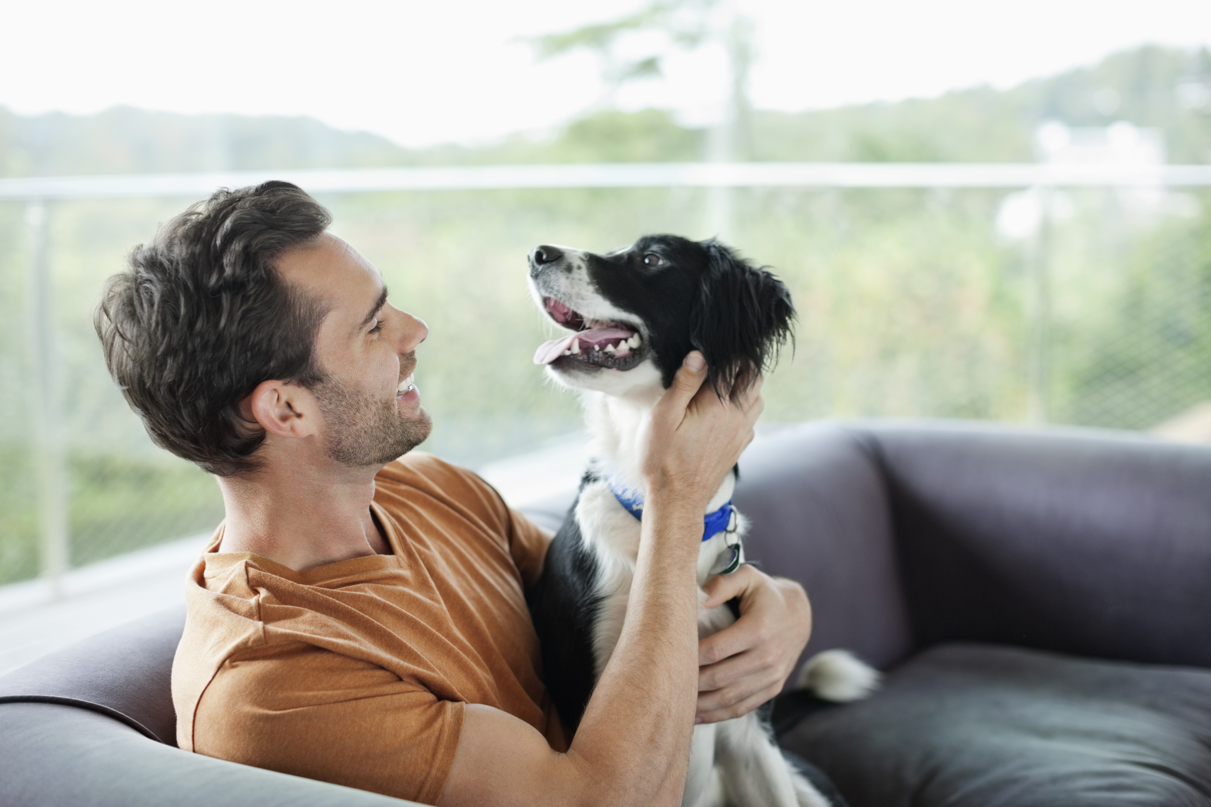 Man cuddling and petting his dog at home