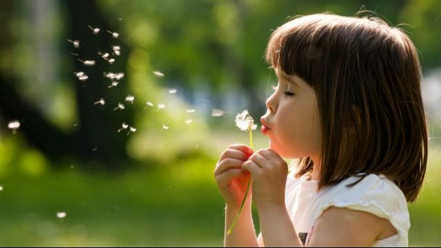 A girl blowing a dandelion