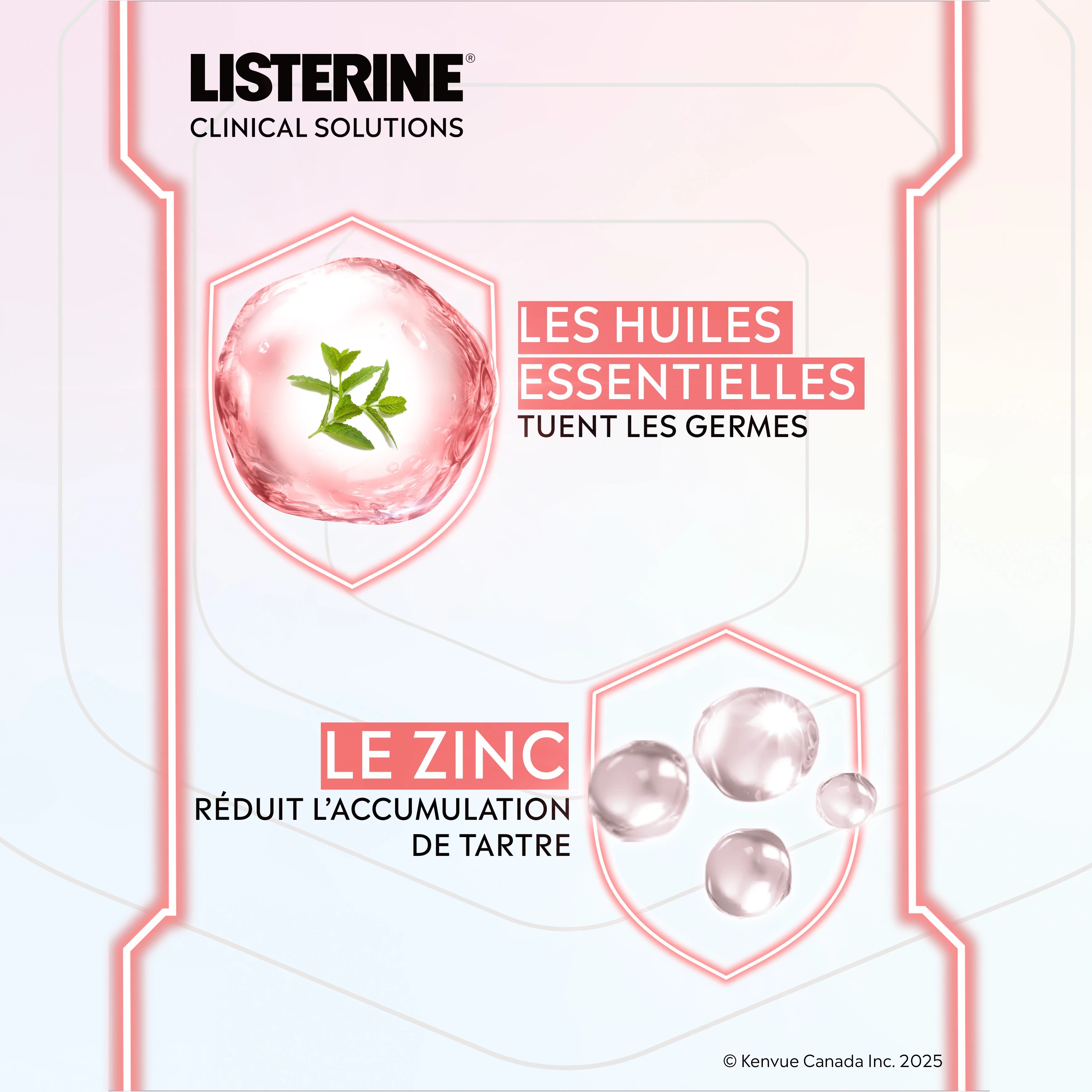 Demonstration of Listerine Clinical Solutions mouthwash ingredients of zinc and essential oils