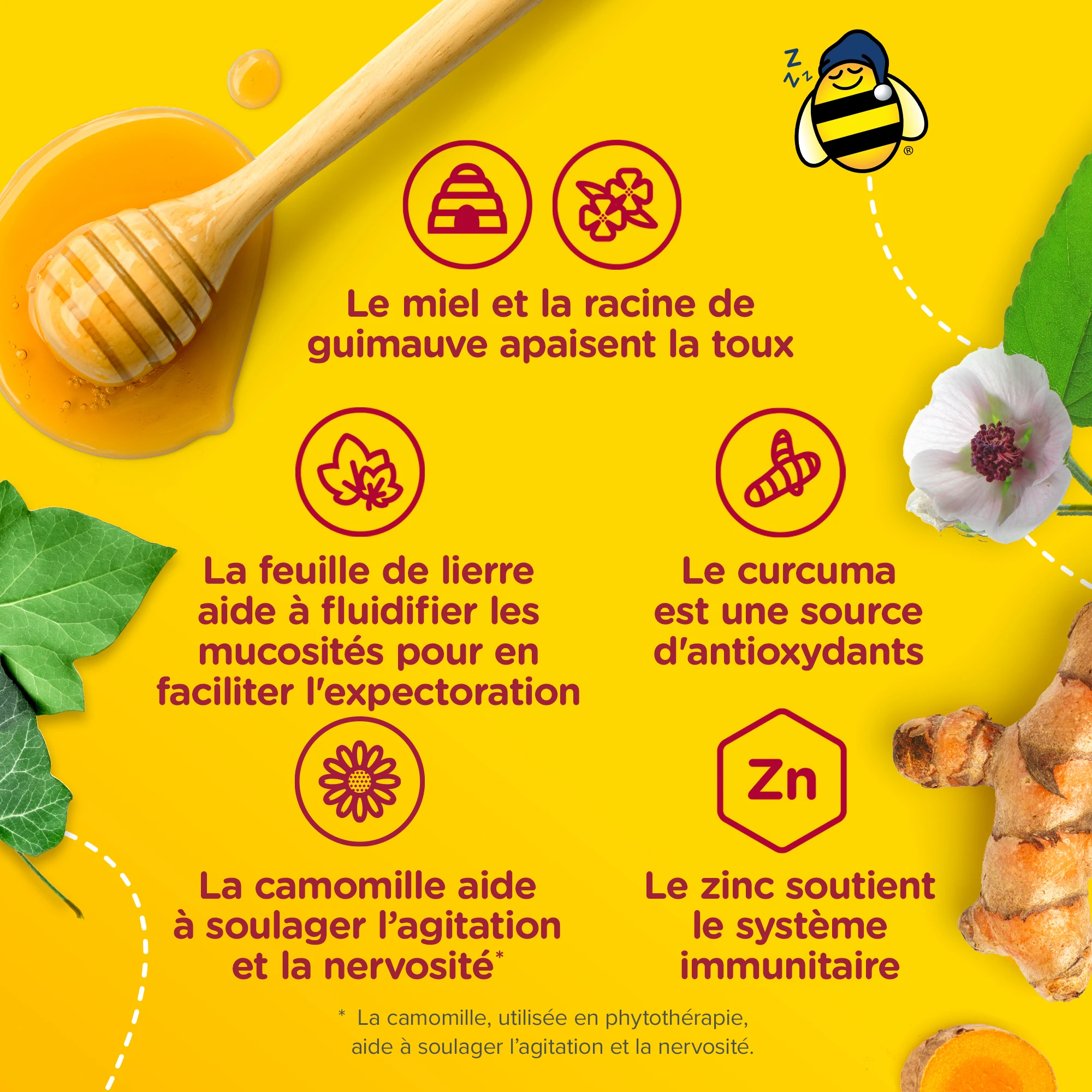 Ingrédients médicinaux du sirop Complet Toux + Rhume pour enfants pour la nuit de Zarbee’s® et leurs bienfaits