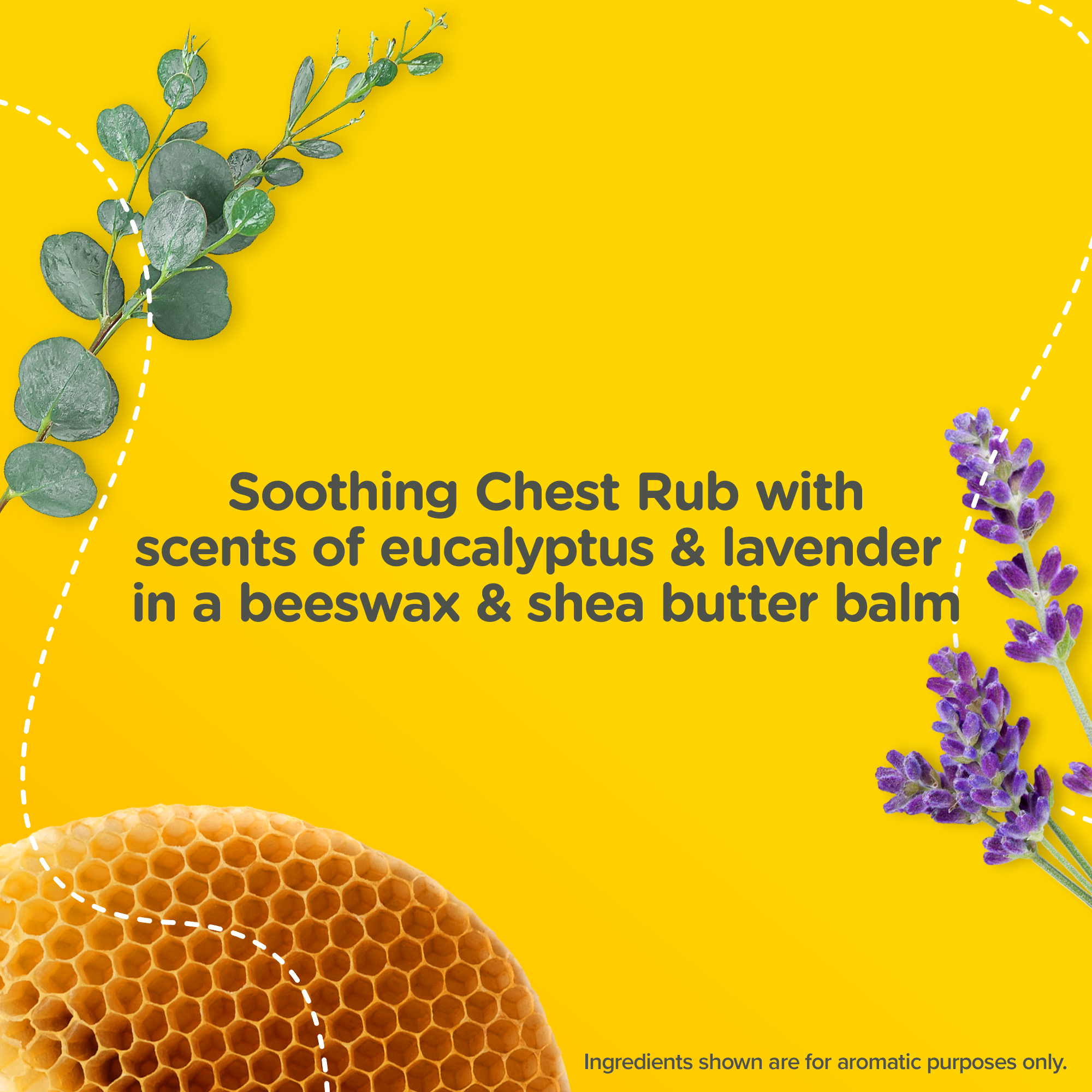 Beeswax, aucalyptus, and lavender, with text “Soothing Chest Rub with scents of eucalyptus & lavender in a beeswax & shea butter balm”