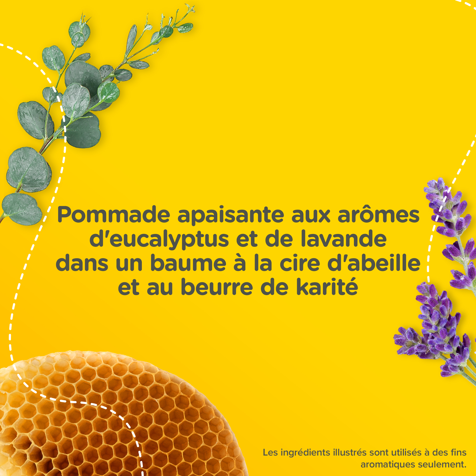 De la cire d’abeille, de l’eucalyptus et de la lavande avec le texte « Pommade apaisante avec des arômes d’eucalyptus et de lavande dans un baume à base de cire d’abeille et de beurre de karité »