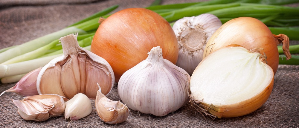 Garlic and onion on a table cloth indicate bad breath