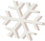 Snowflake icon