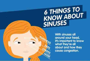 6 Things about Sinuses