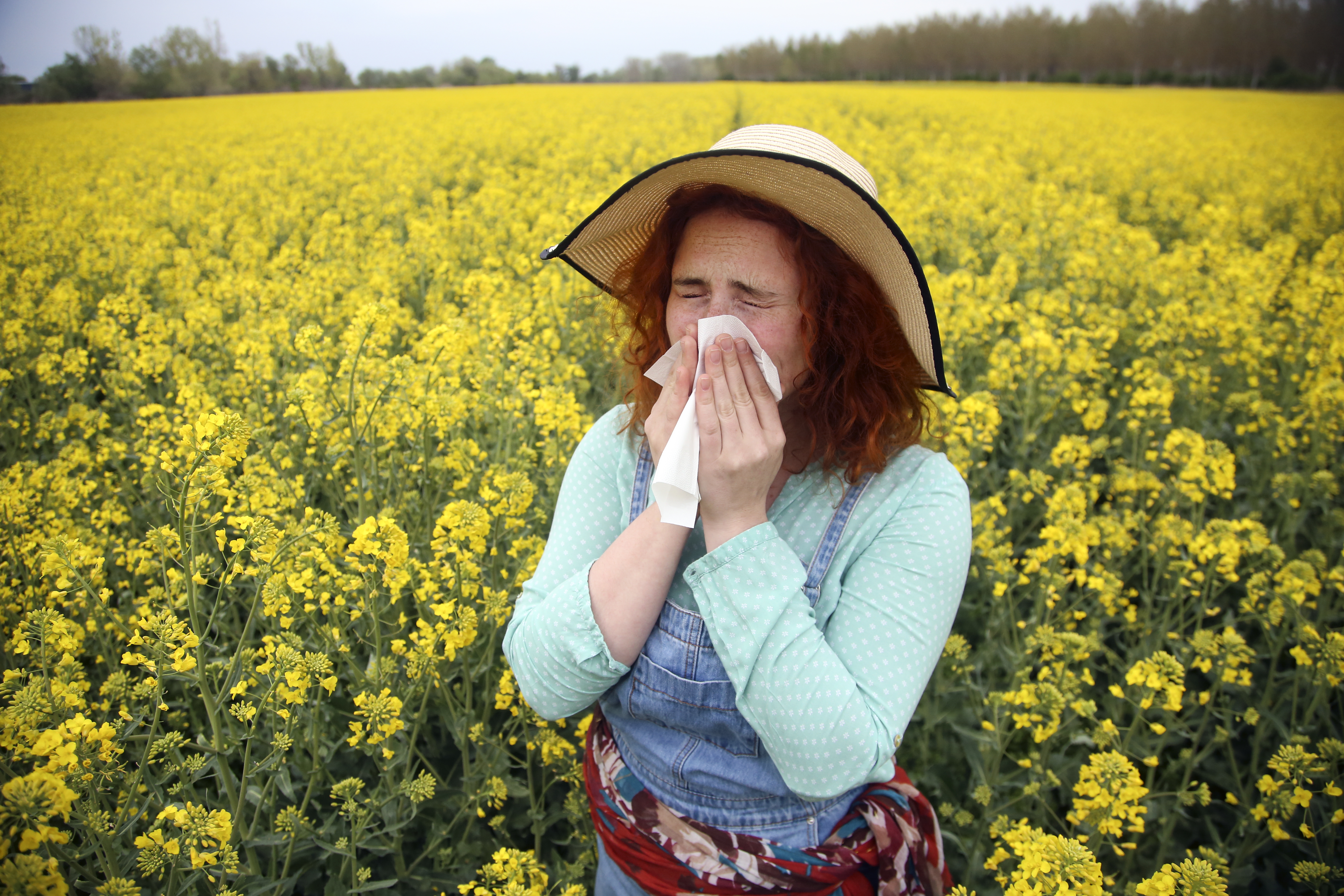 Femme éternuant dans un champ de fleurs de canola.