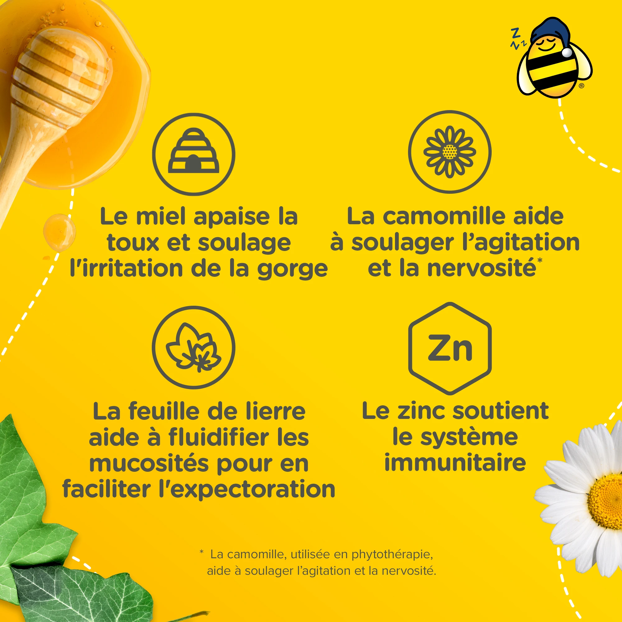 Ingrédients médicinaux du sirop Toux + Mucosités pour enfants pour la nuit de Zarbee’s et leurs bienfaits
