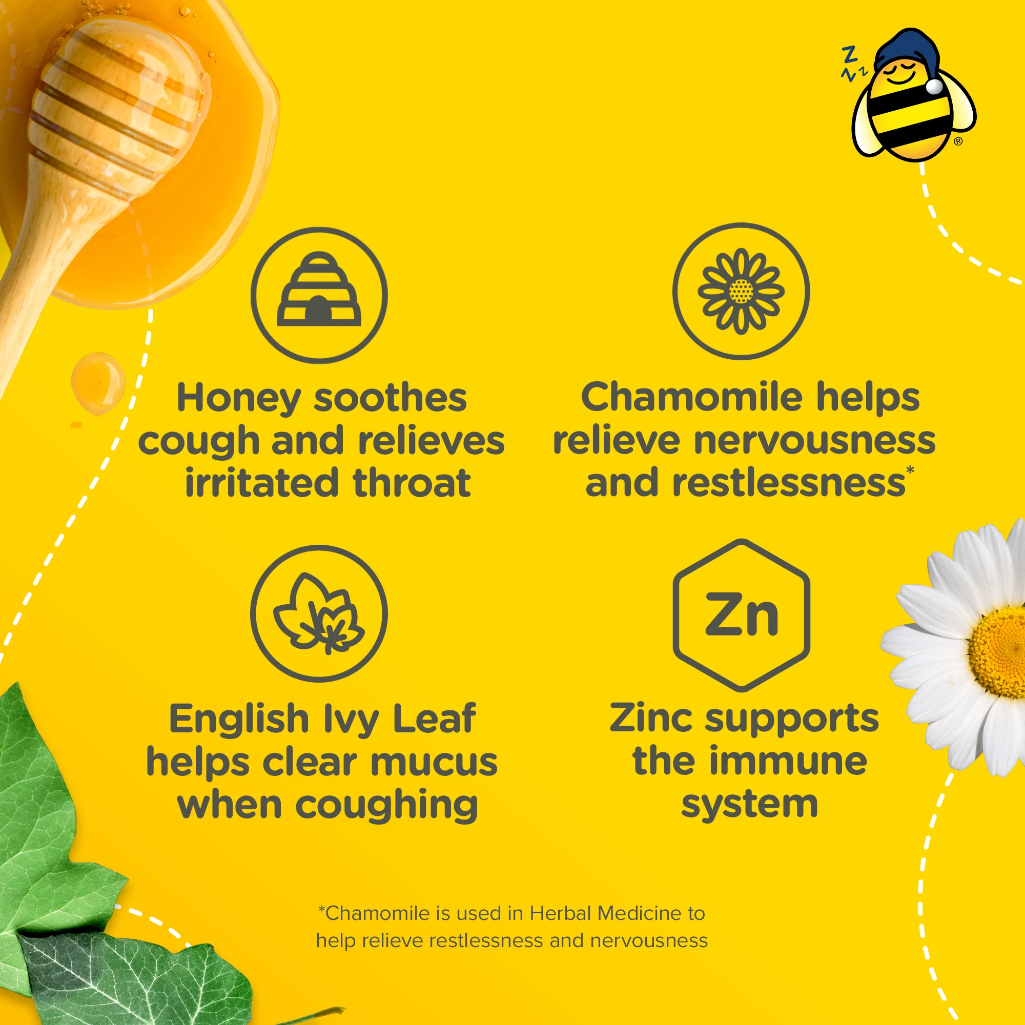 Zarbee’s Children’s Nighttime Cough + Mucus Syrup medicinal ingredients and their benefits