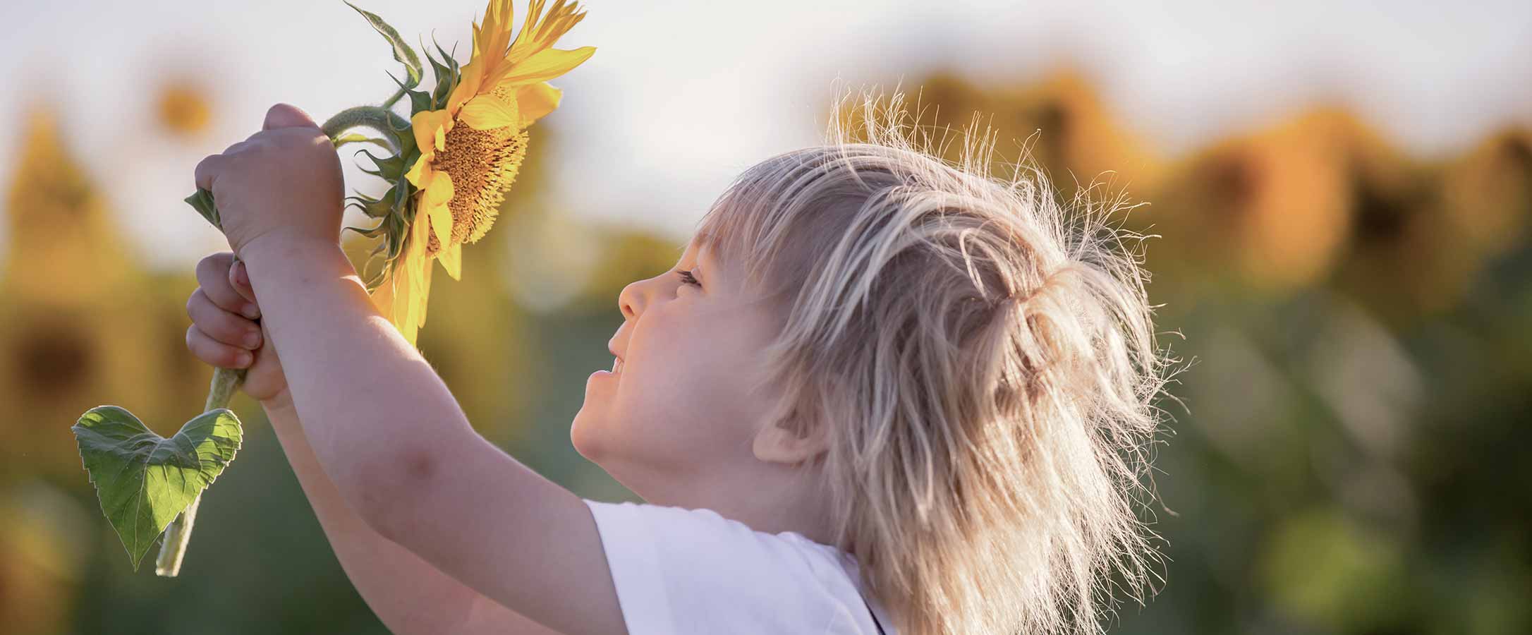 Un jeune enfant souriant, tenant un tournesol dans ses mains.