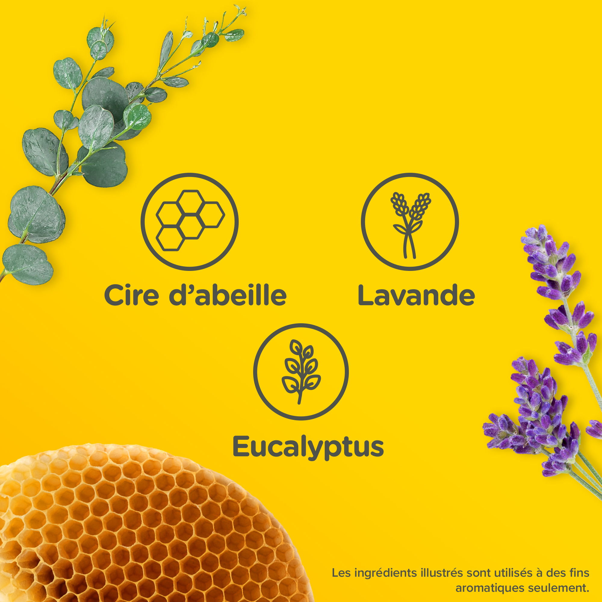 Les ingrédients de la pommade apaisante de Zarbee’s incluent de la cire d’abeille, de la lavande et de l’eucalyptus