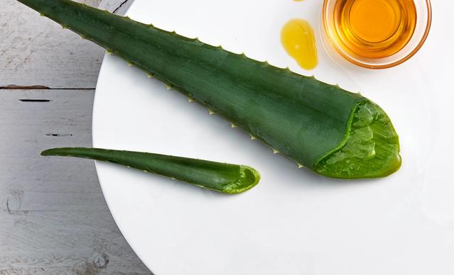 Flay late of aloe vera and honey on a plate