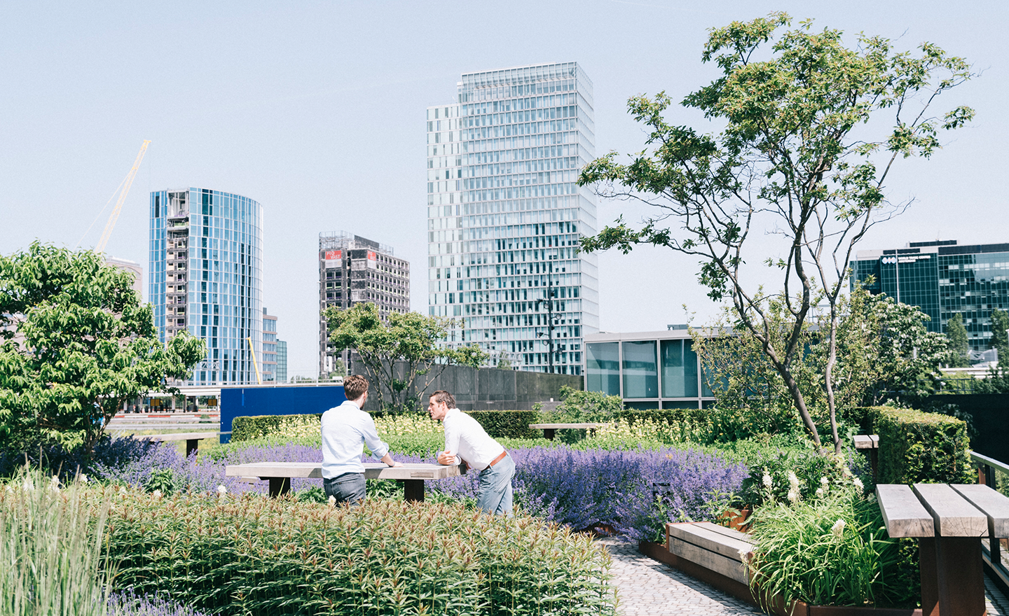 Two men having a discussion in an urban setting