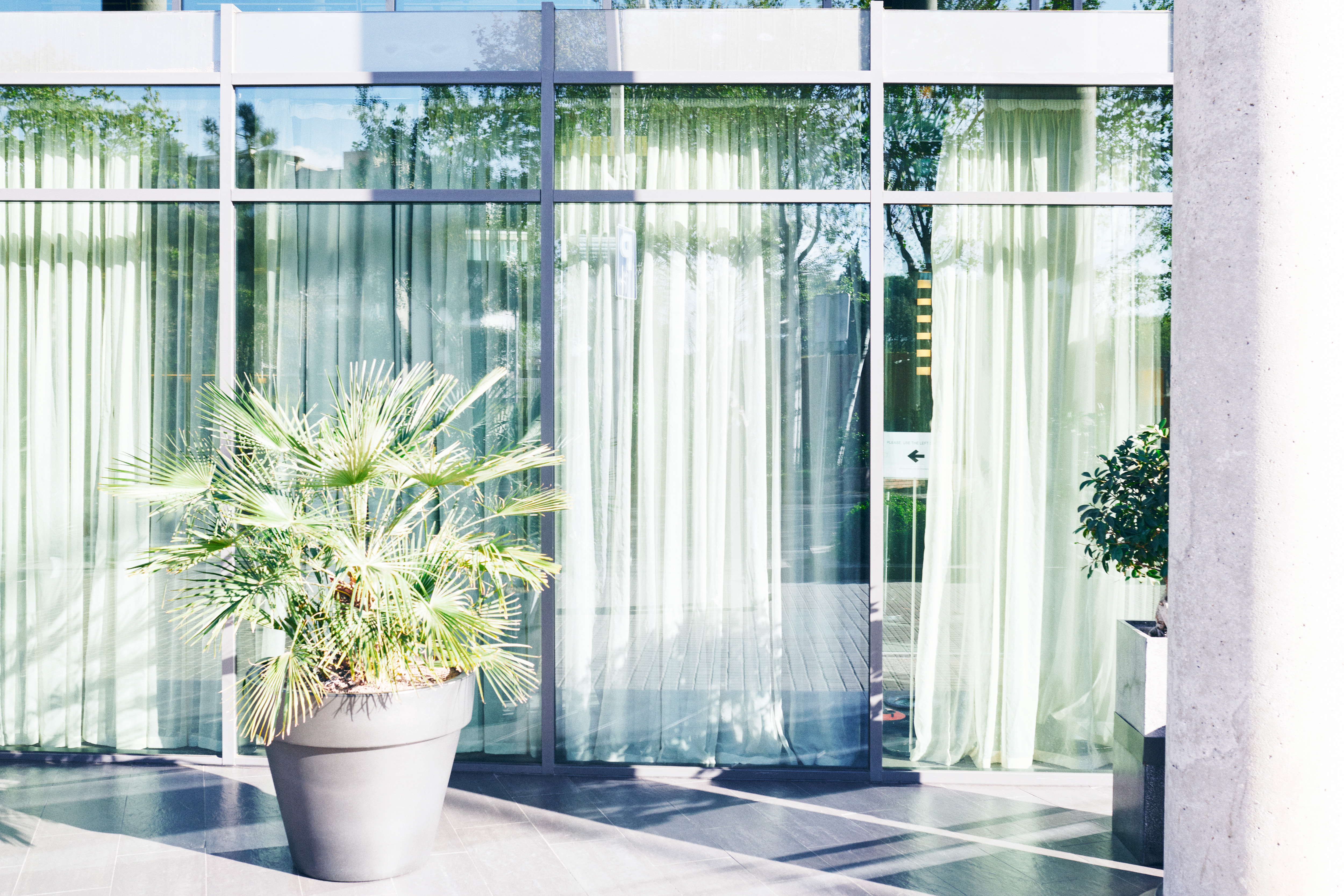 Crecimiento exponencial de Tink en España