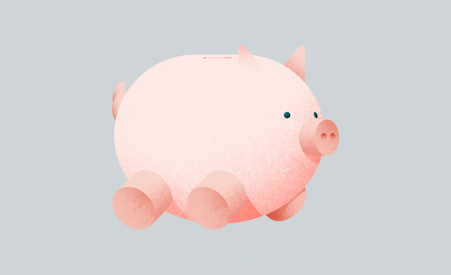 Pig