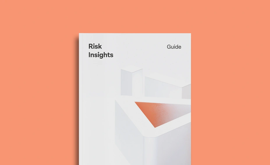 Risk Insights guide cover