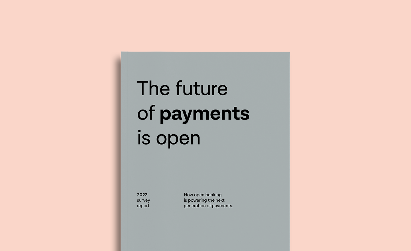 A new generation of payments is taking shape – powered by open banking