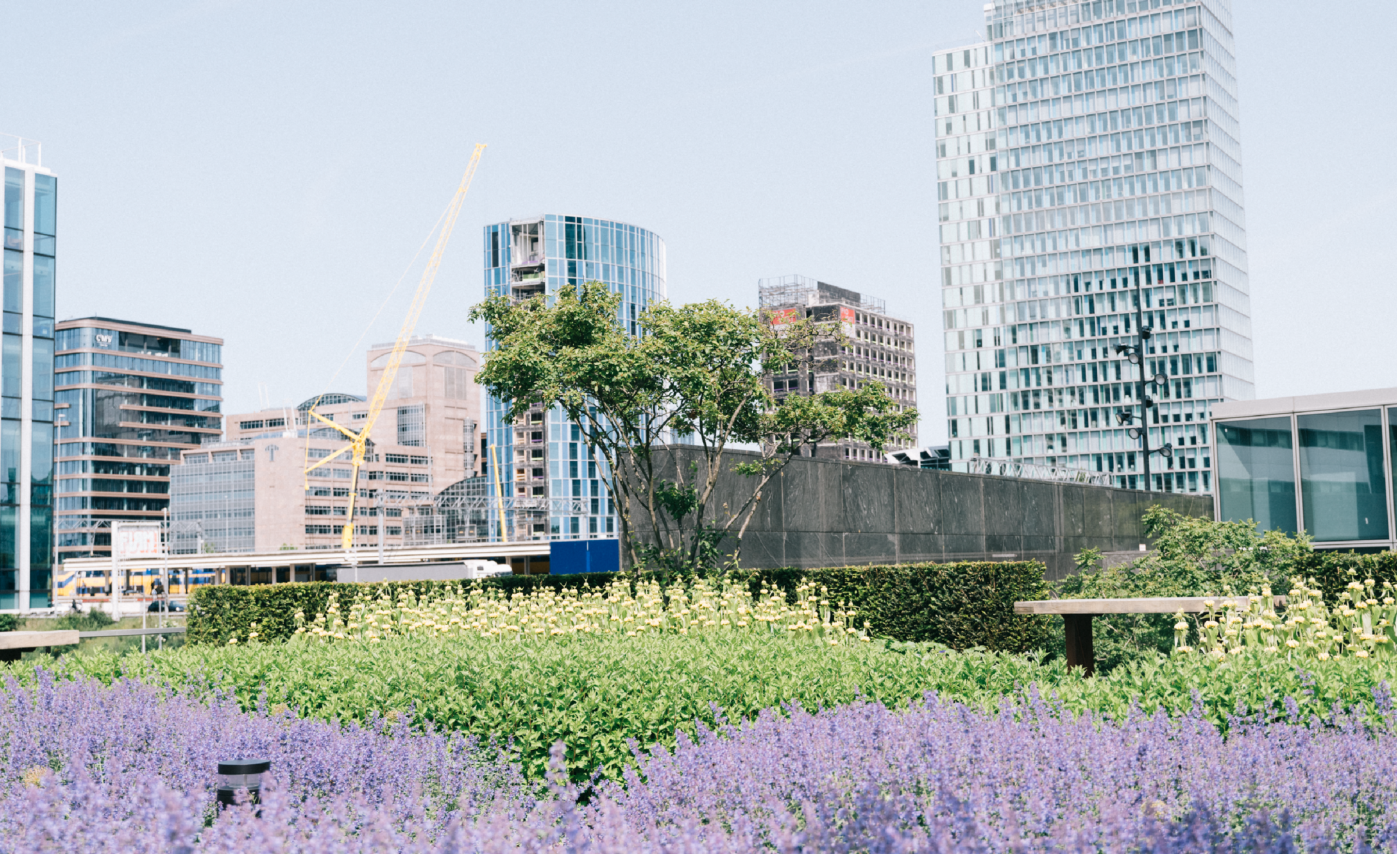 How open banking is a game changer for sustainability