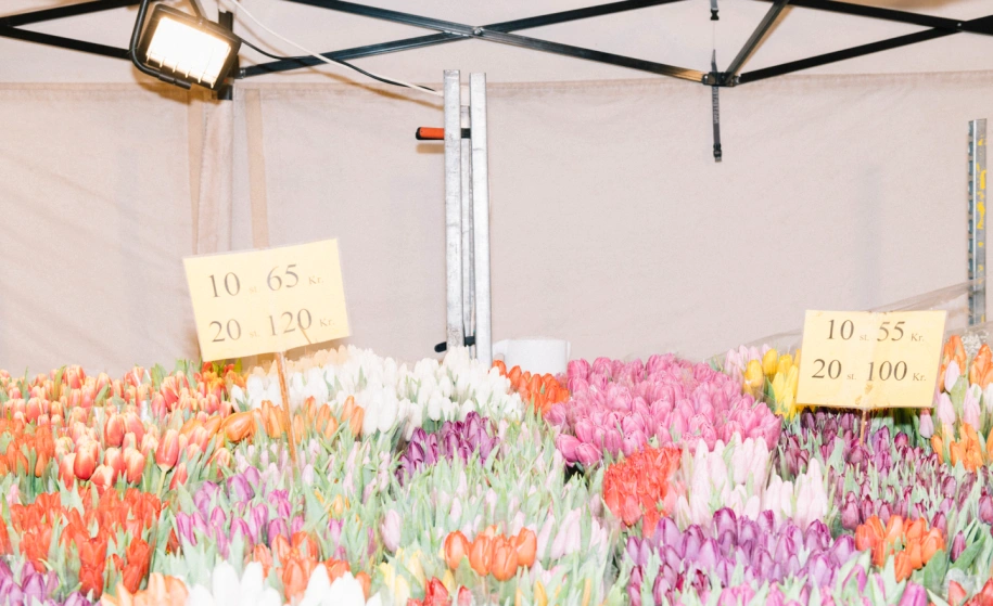 This image depicts a florist stall displaying tulips for sale with signs showing their price points.