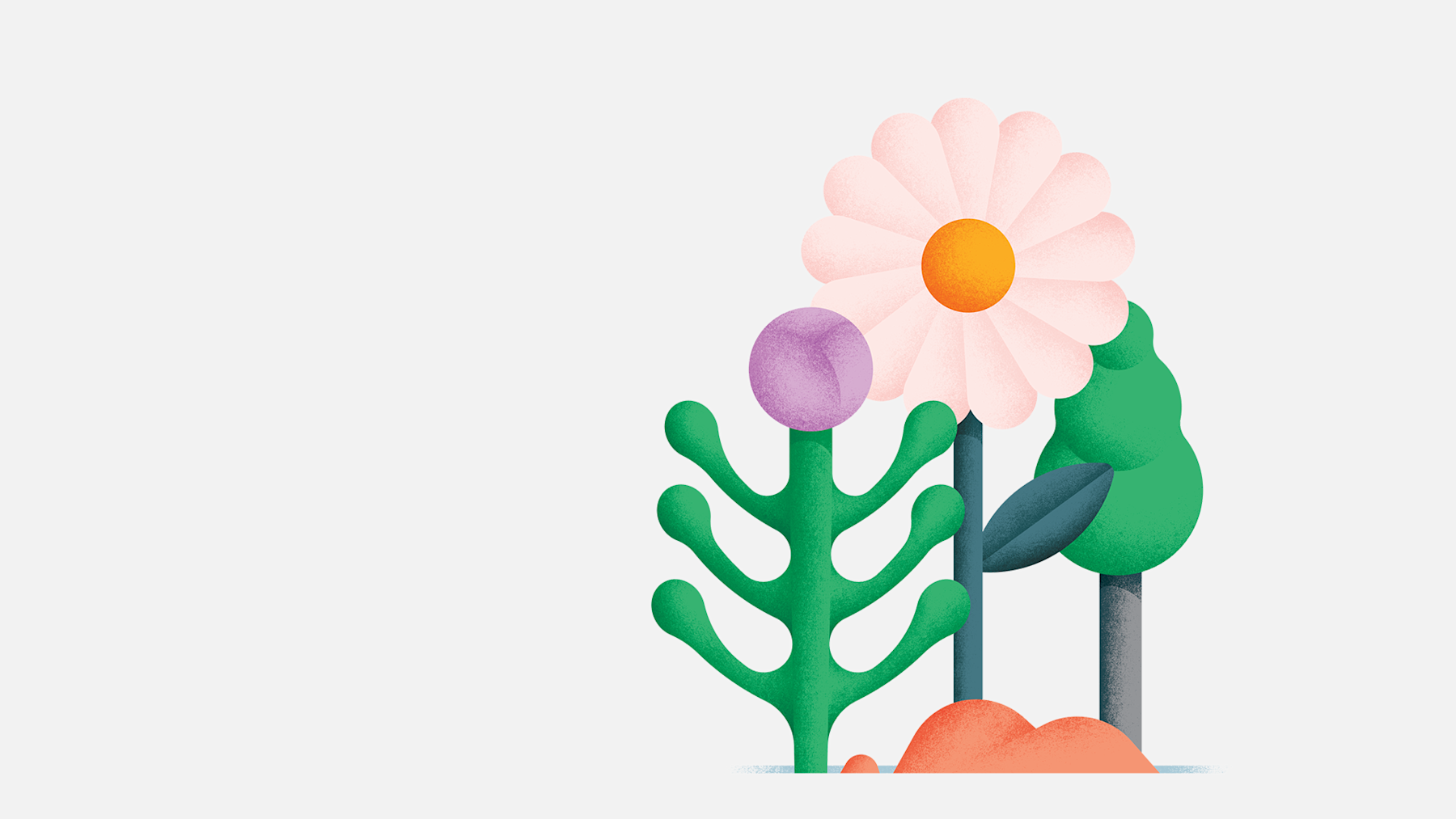 Illustrations