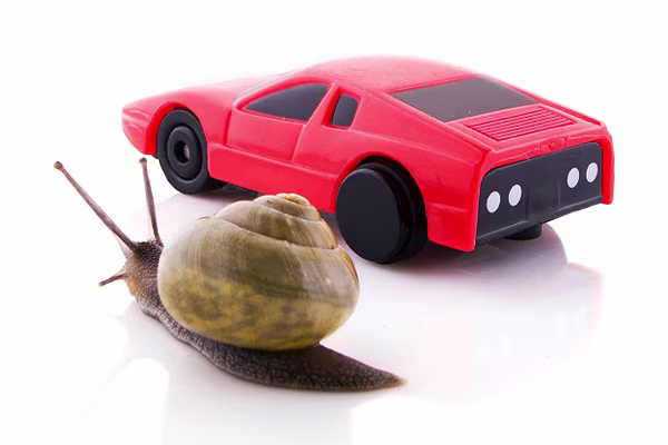 Snail and car