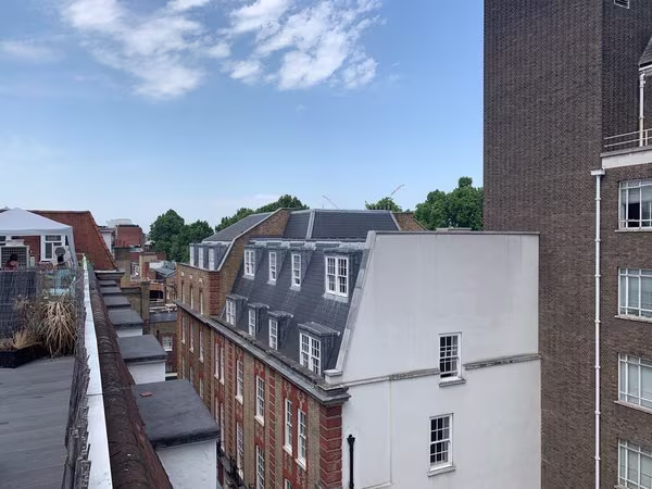 iPhone X roof garden shot