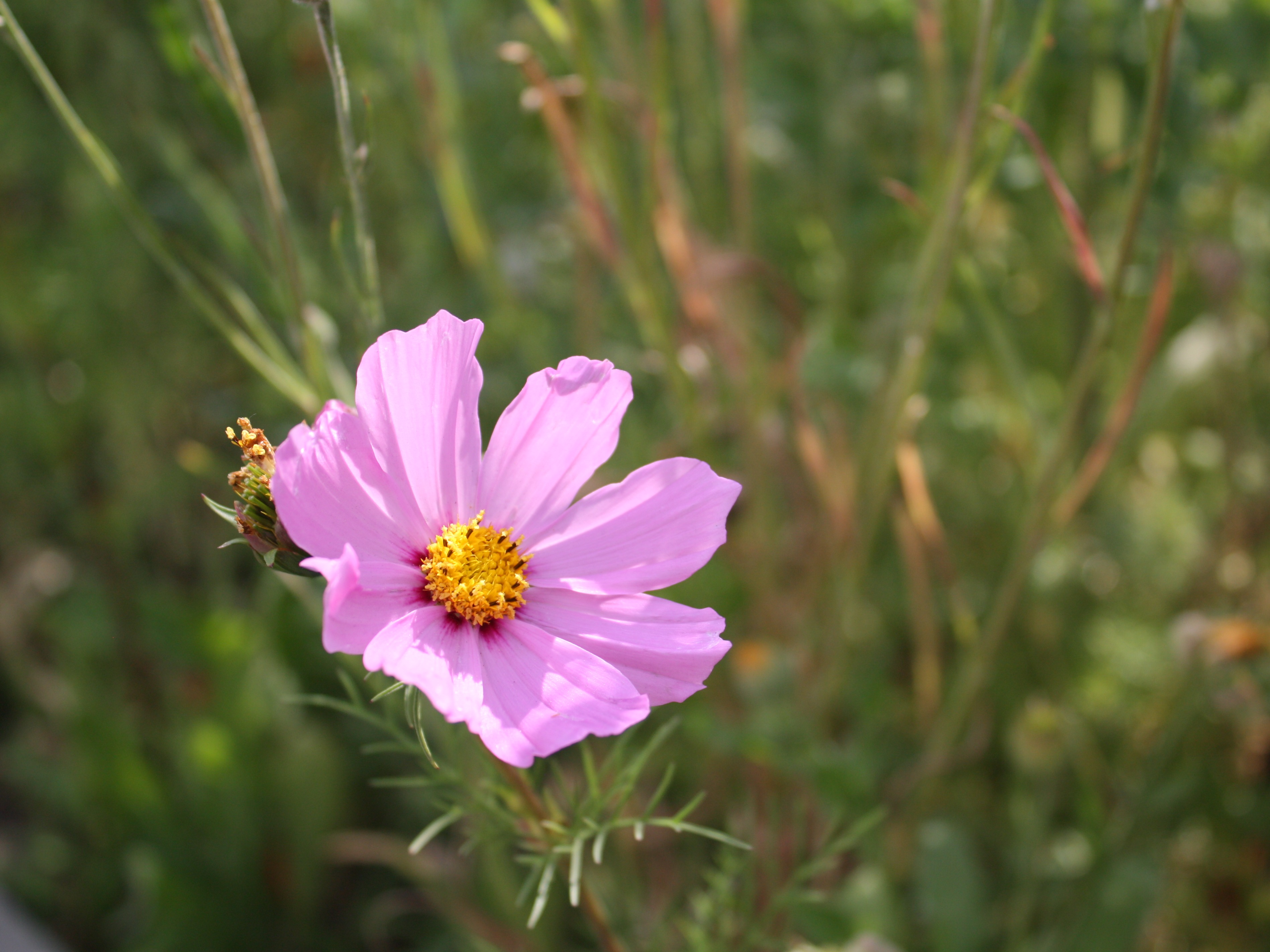 Preislisten Pflanzenschutz 2025