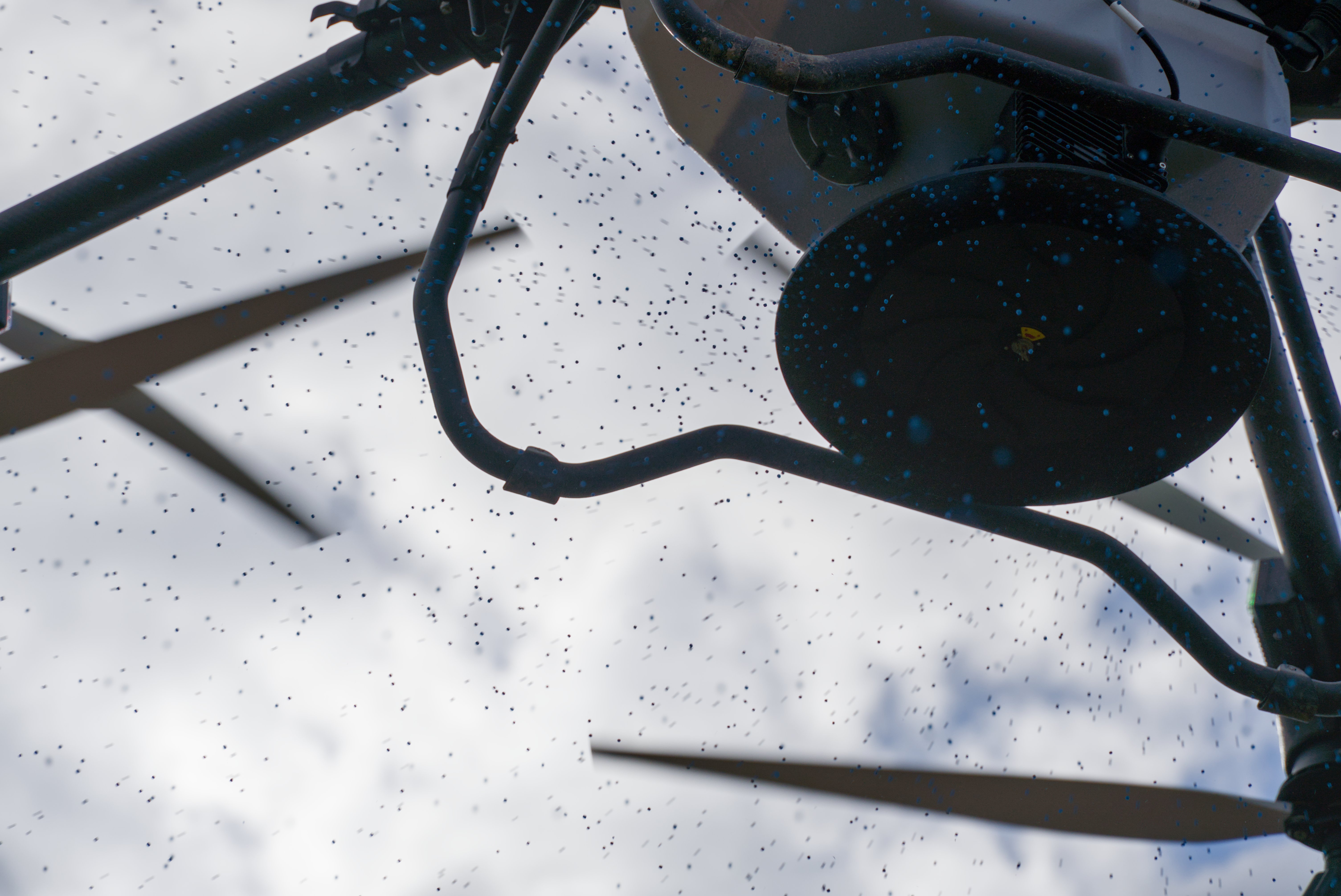 Schneckenkorn streuen - SlugDrone