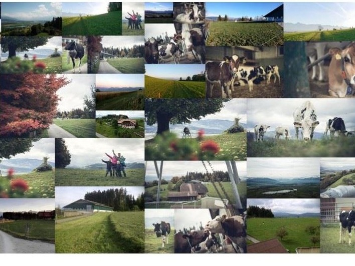 Panorama teaser (1) (1)