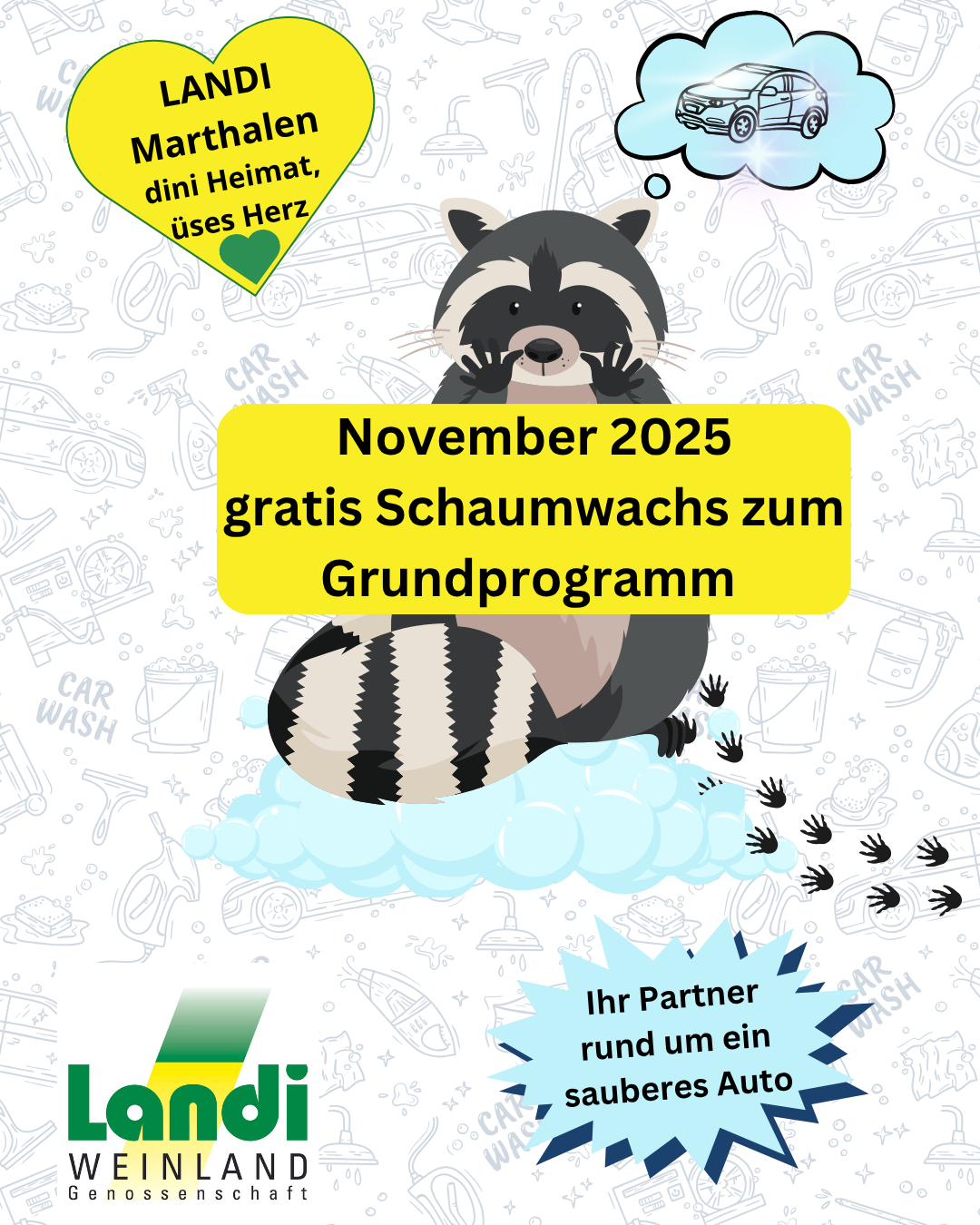 Monatsaktion Carwash Marthalen