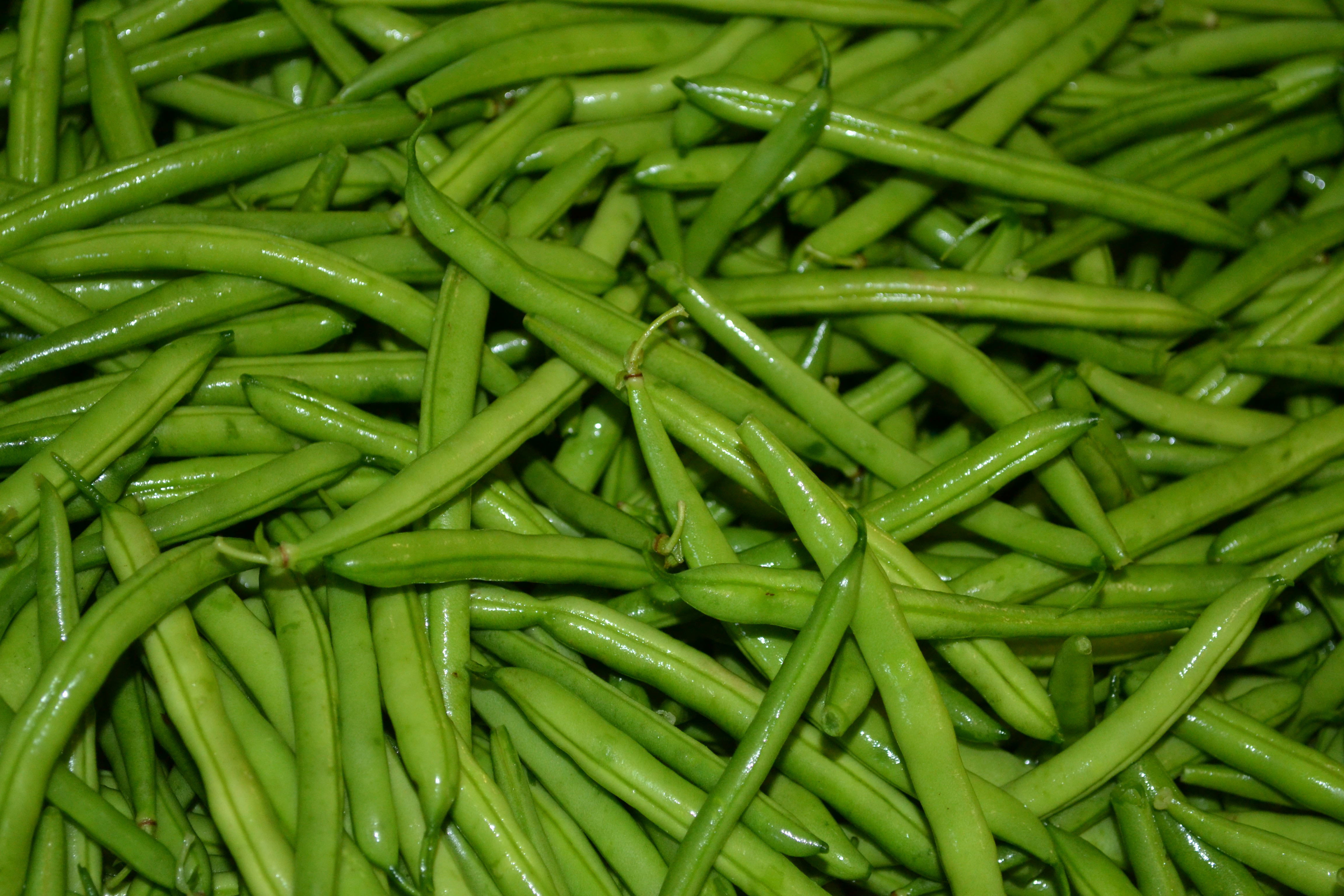Bild Haufen Bohnen
