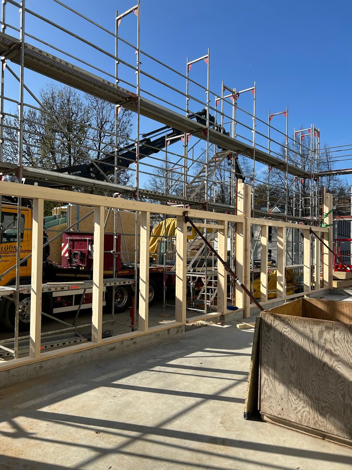 WhatsApp Image 2024-11-12 at 12.58.33