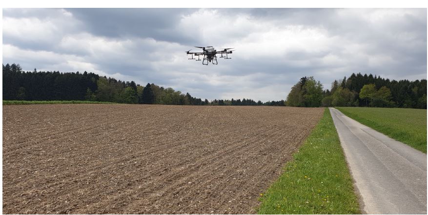 Schneckenkorn streuen