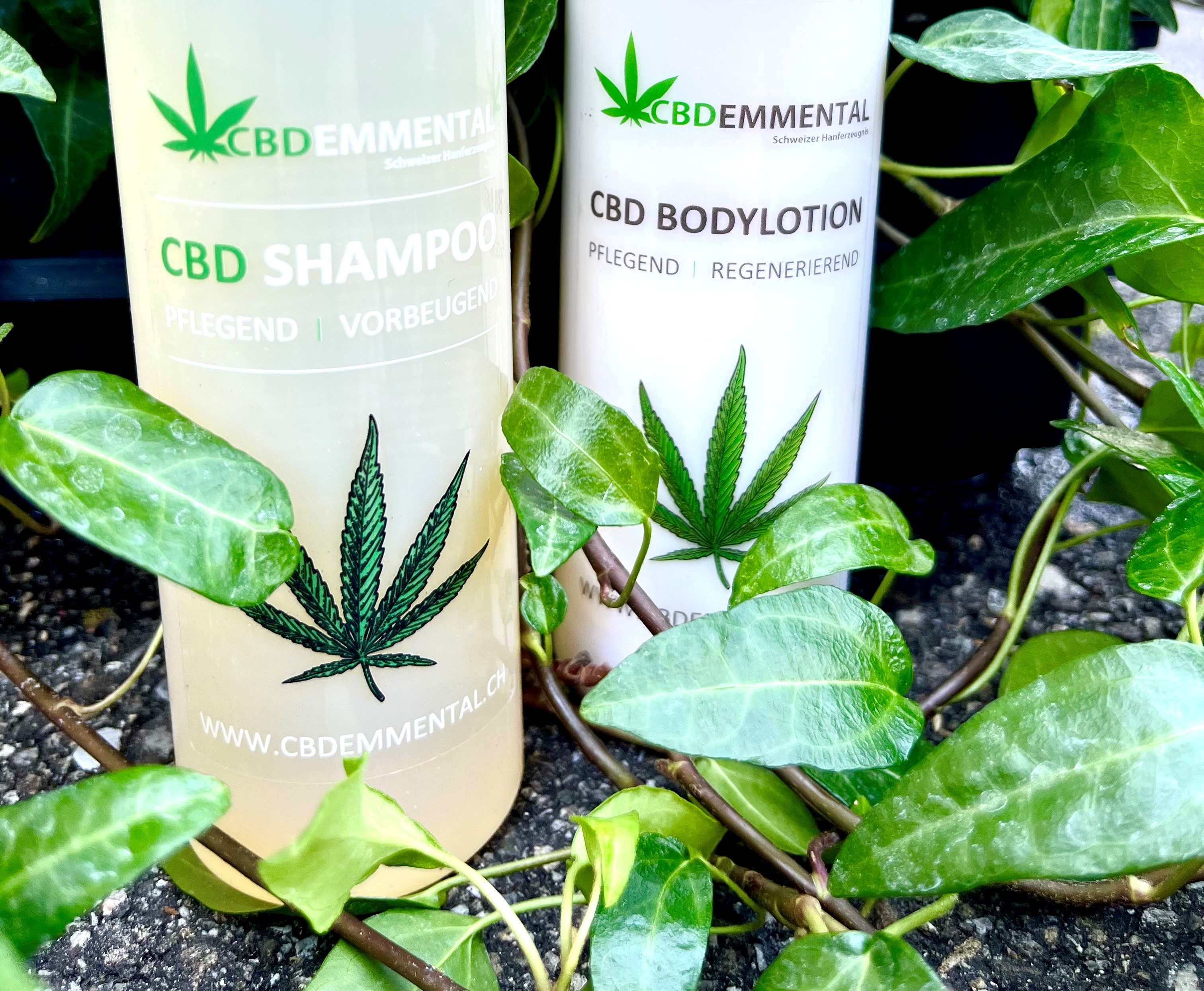 CBD Emmental Shampoo und Bodylotion