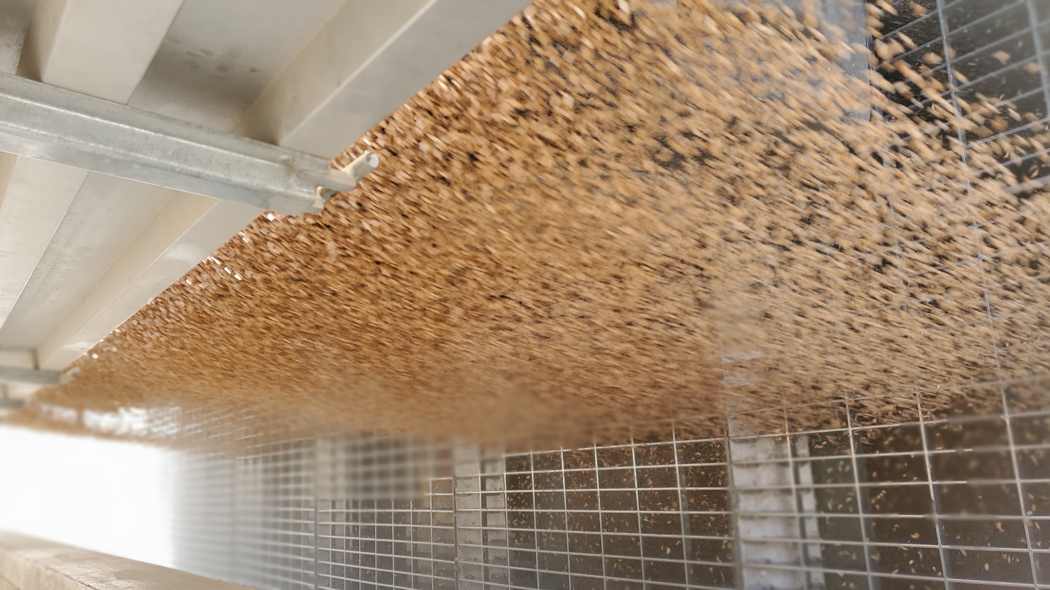 Marktgerechte Preise, verlässliche Auszahlung und transparente Abrechnung