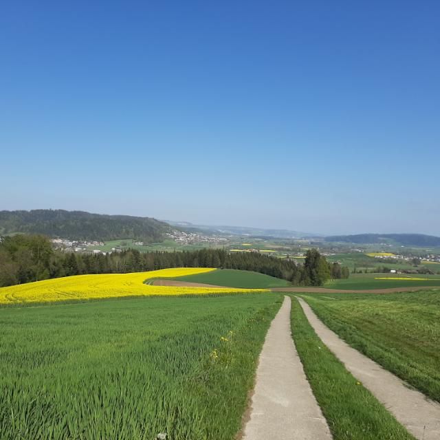 Beratung für Feld und Stall 