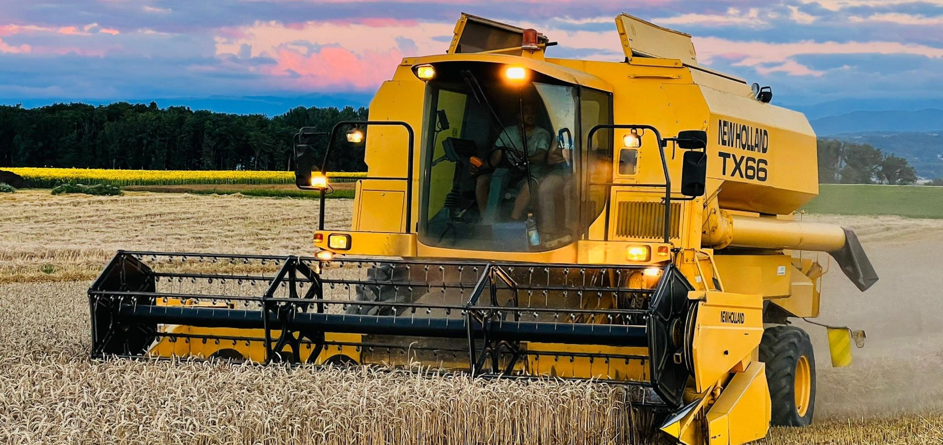 LBV Membre au battage