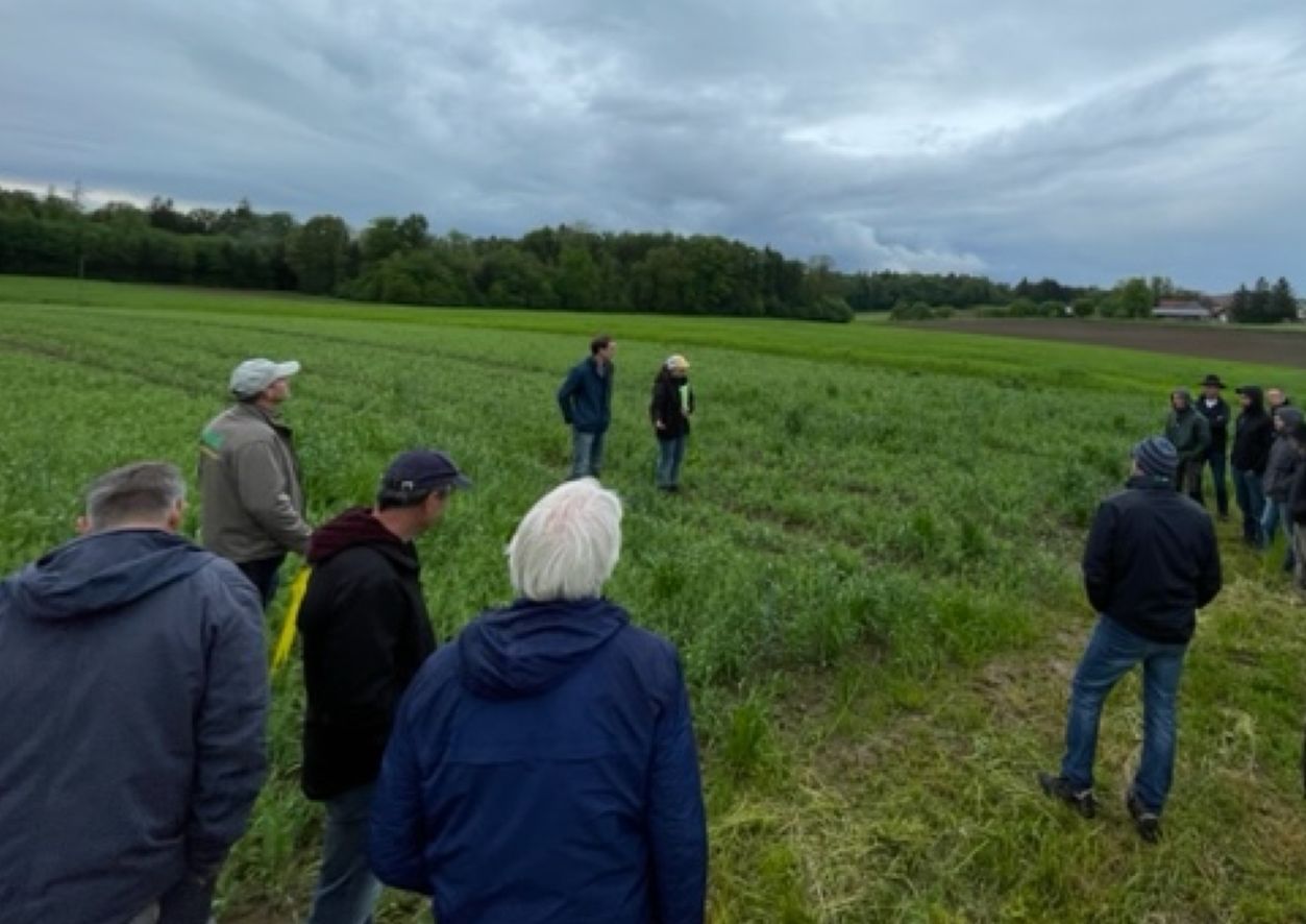 Lohnbetrieb Säarbeiten und weitere Dienstleistungen