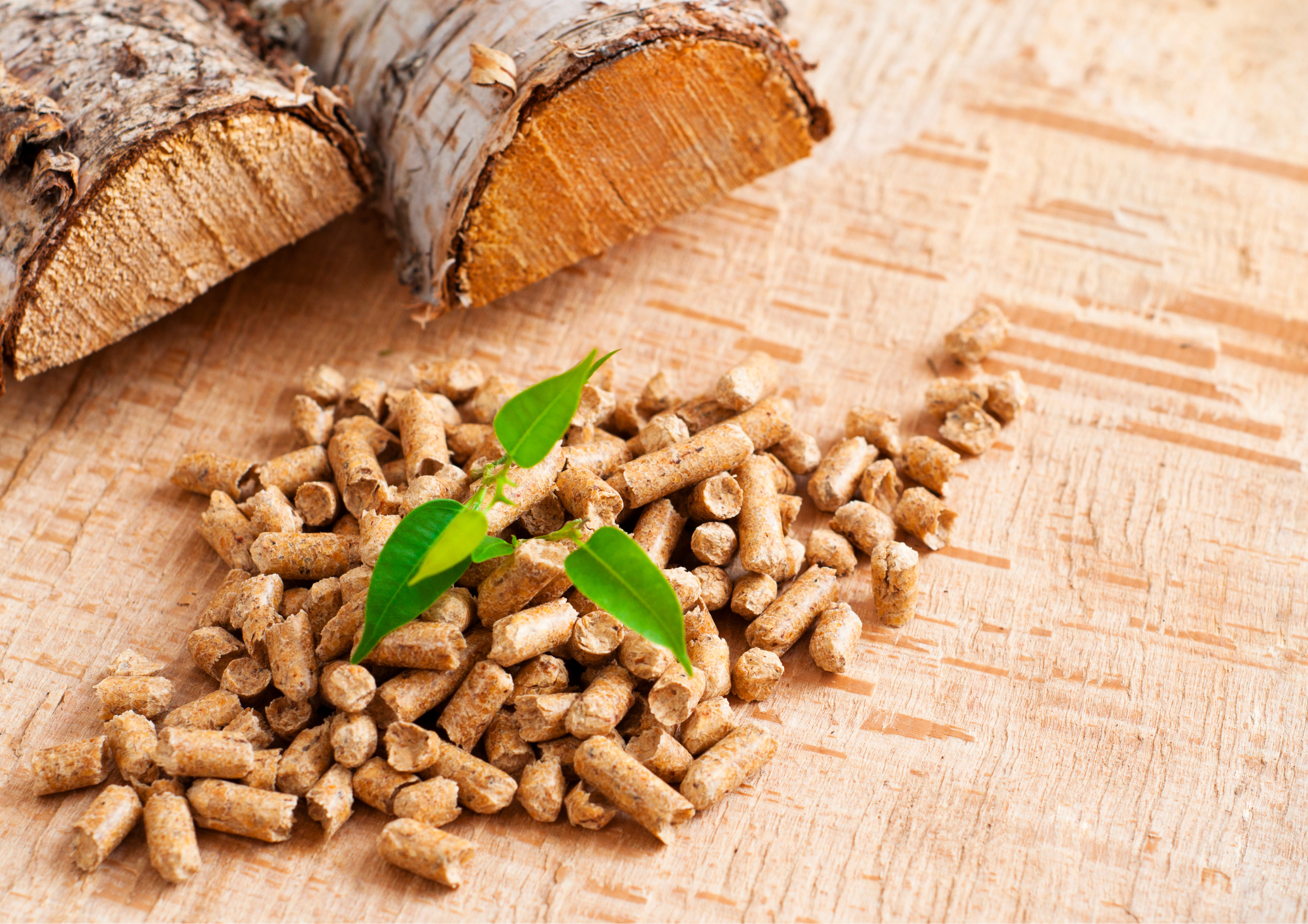 Nachhaltige Energiebomben