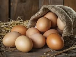 Langenegger Stefan Eier