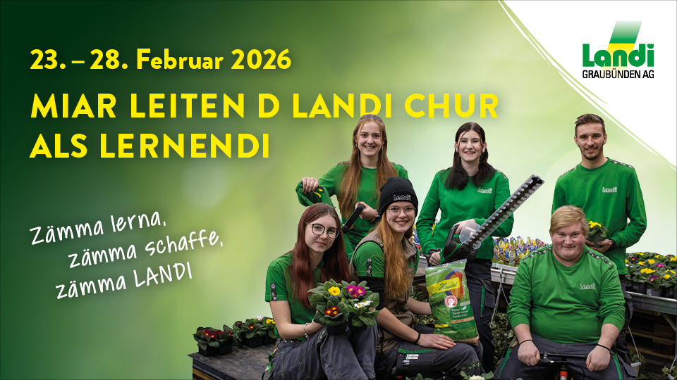 Laden Lernende 2025 mit Text