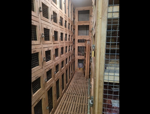 Flamattstrasse 10, 3182 Ueberstorf