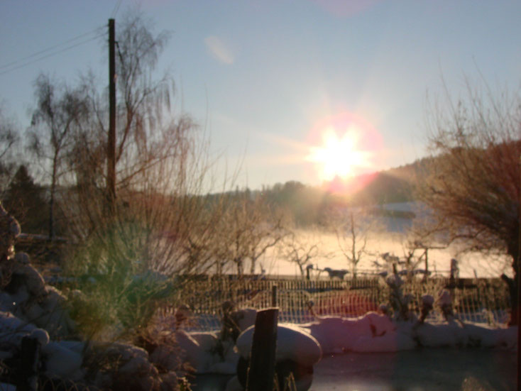 FORST & HOLZ SERVICE WINZENRIED, HERZWIL