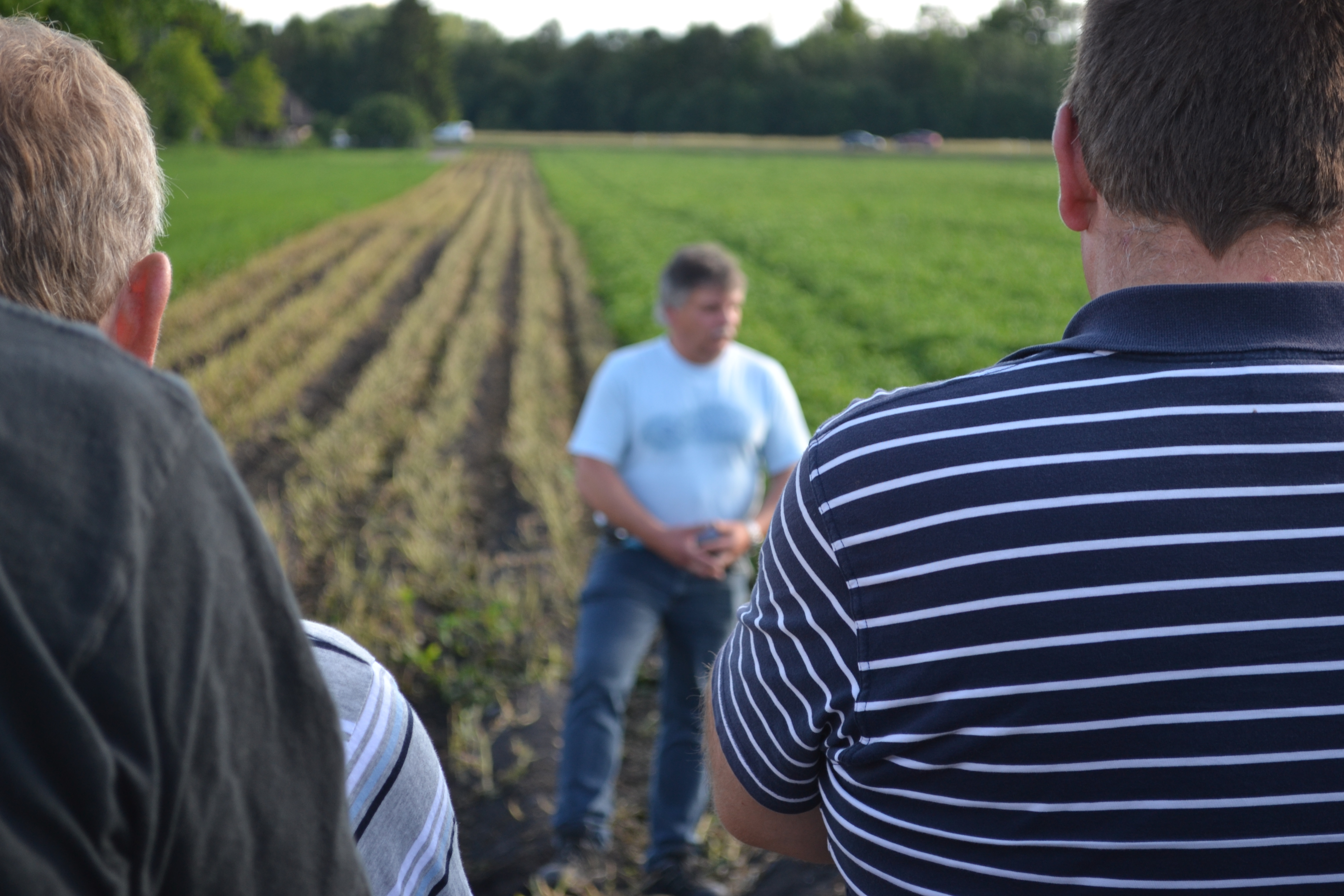 Bild Flurbegehung Kartoffeln